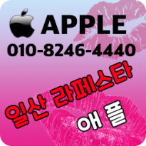 일산 애플